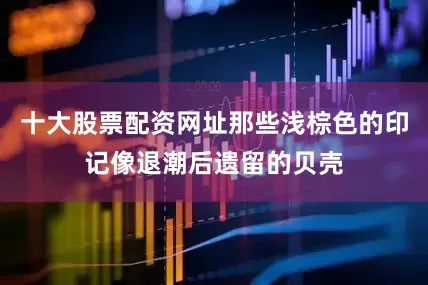 十大股票配资网址那些浅棕色的印记像退潮后遗留的贝壳