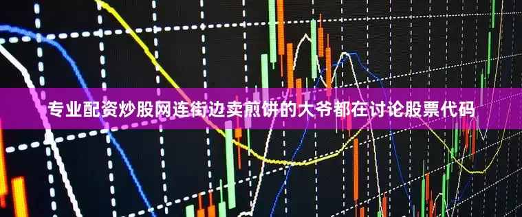 专业配资炒股网连街边卖煎饼的大爷都在讨论股票代码