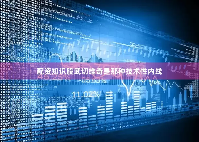 配资知识股武切维奇是那种技术性内线