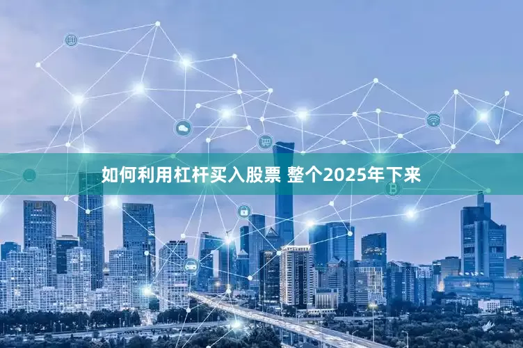 如何利用杠杆买入股票 整个2025年下来